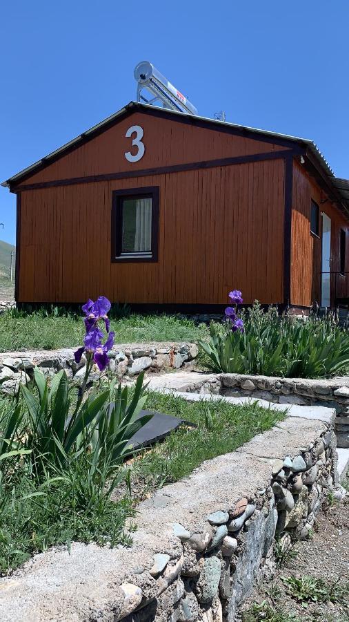 Zhayr Resort & Dive Drakhtik Екстер'єр фото