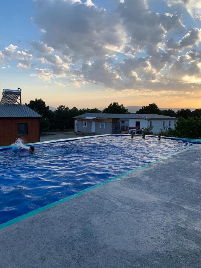 Zhayr Resort & Dive Drakhtik Екстер'єр фото