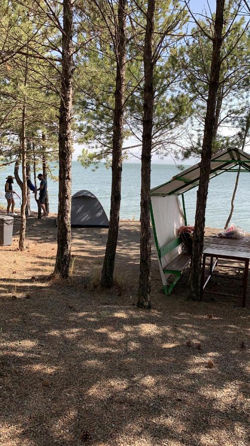 Zhayr Resort & Dive Drakhtik Екстер'єр фото