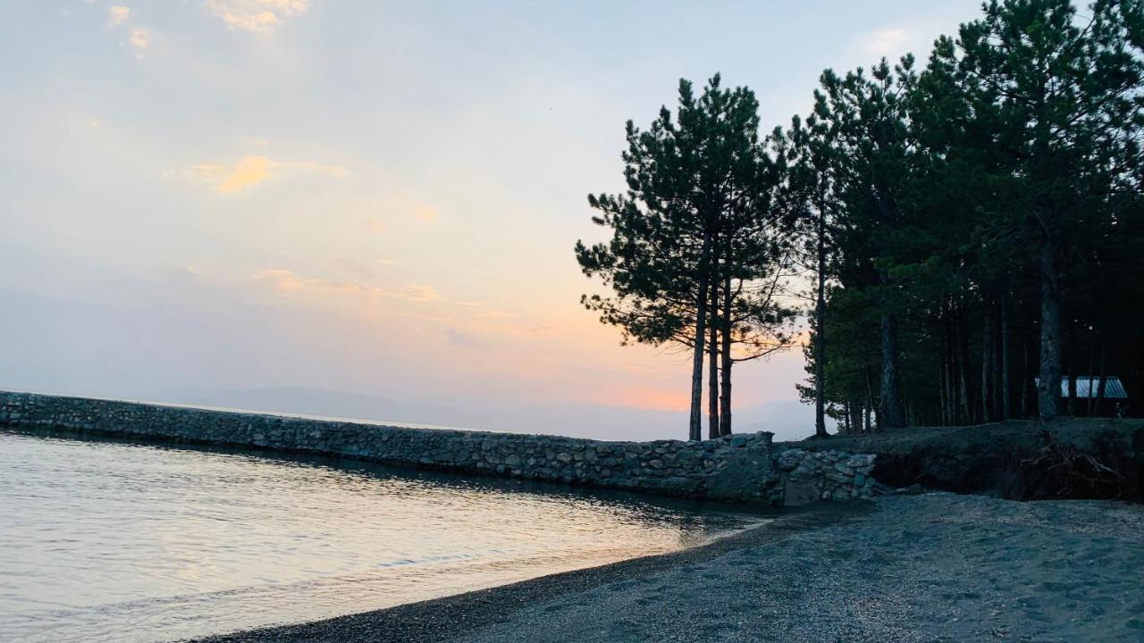 Zhayr Resort & Dive Drakhtik Екстер'єр фото
