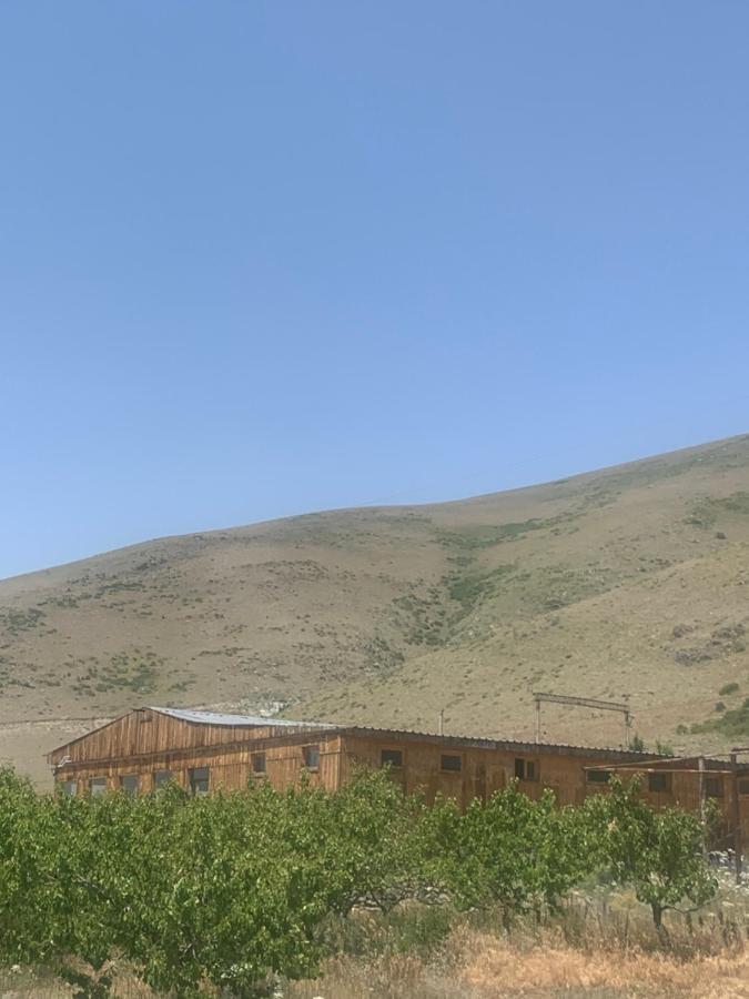 Zhayr Resort & Dive Drakhtik Екстер'єр фото